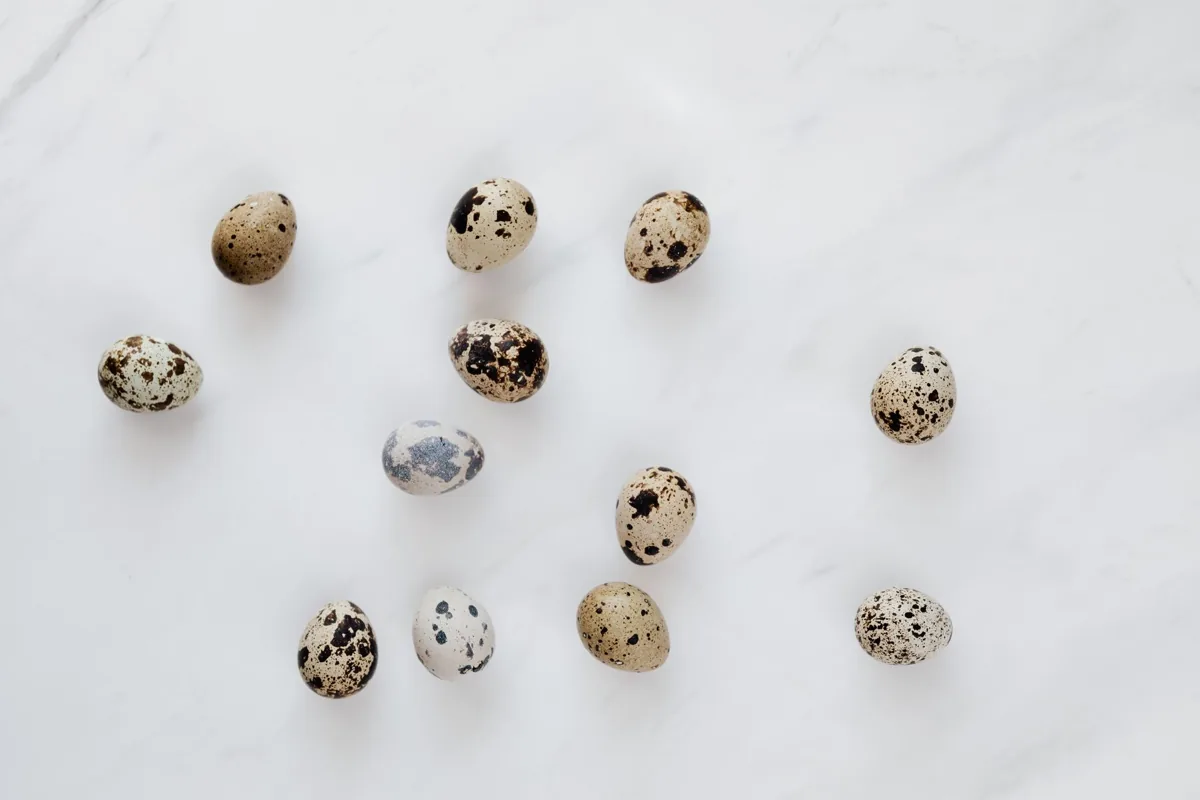 Top view of natural quail eggs placed chaotically on white table during cooking process in kitchen